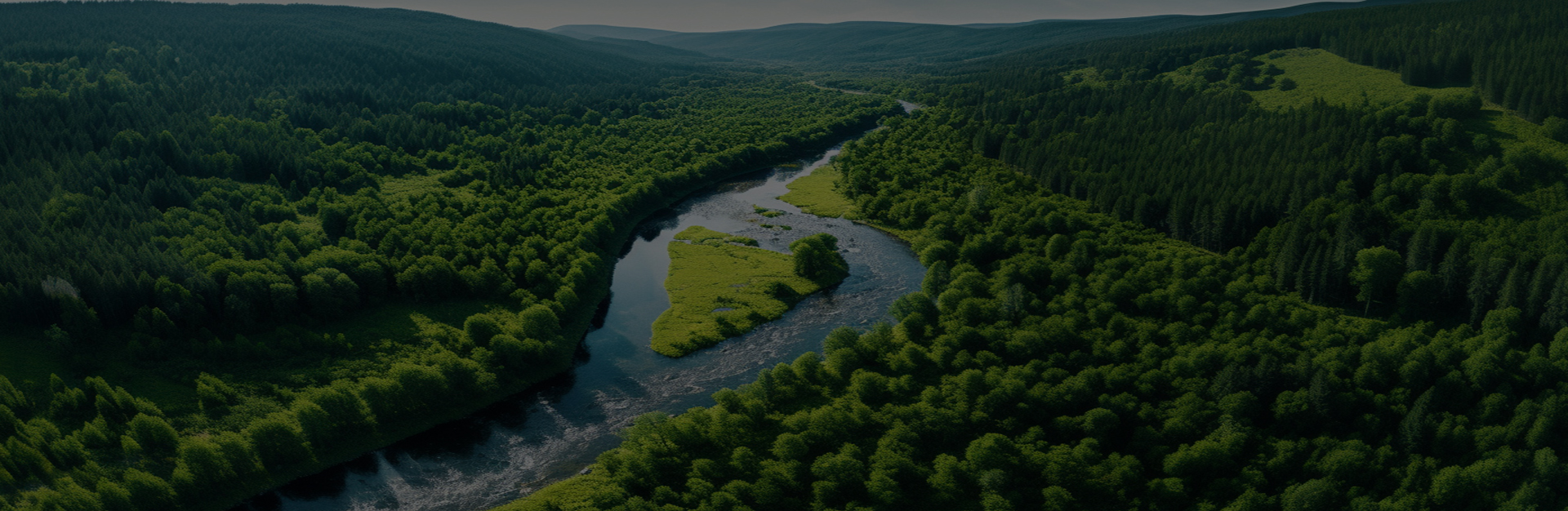 Jiaxing Dingshi Machinery Manufacturing Co, Ltd.