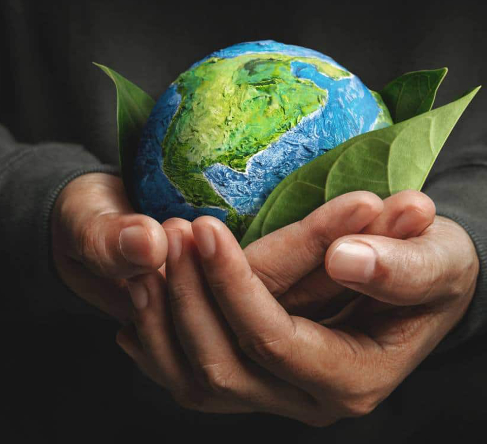 Jiaxing Dingshi Machinery Manufacturing Co, Ltd.